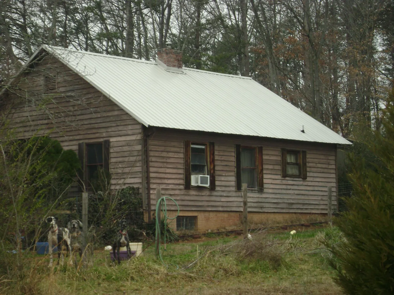 White metal roof on an old wood sided farmhouse, from a Asphalt Shingle Roof Repair job in Moffit